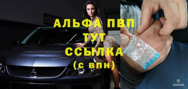 меф Арсеньев