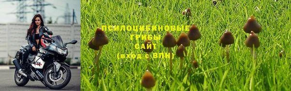 не бодяженный Аркадак