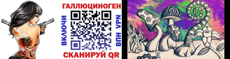 купить закладку  Новороссийск  Псилоцибиновые грибы Psilocybe 